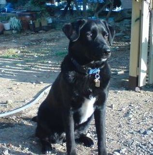 20120905-Belle3.jpg